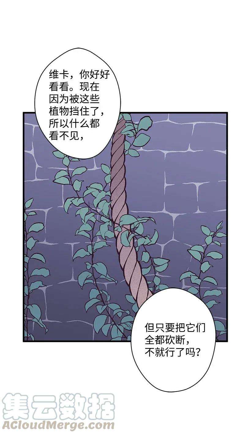 失落的公主62 哥哥的幻影