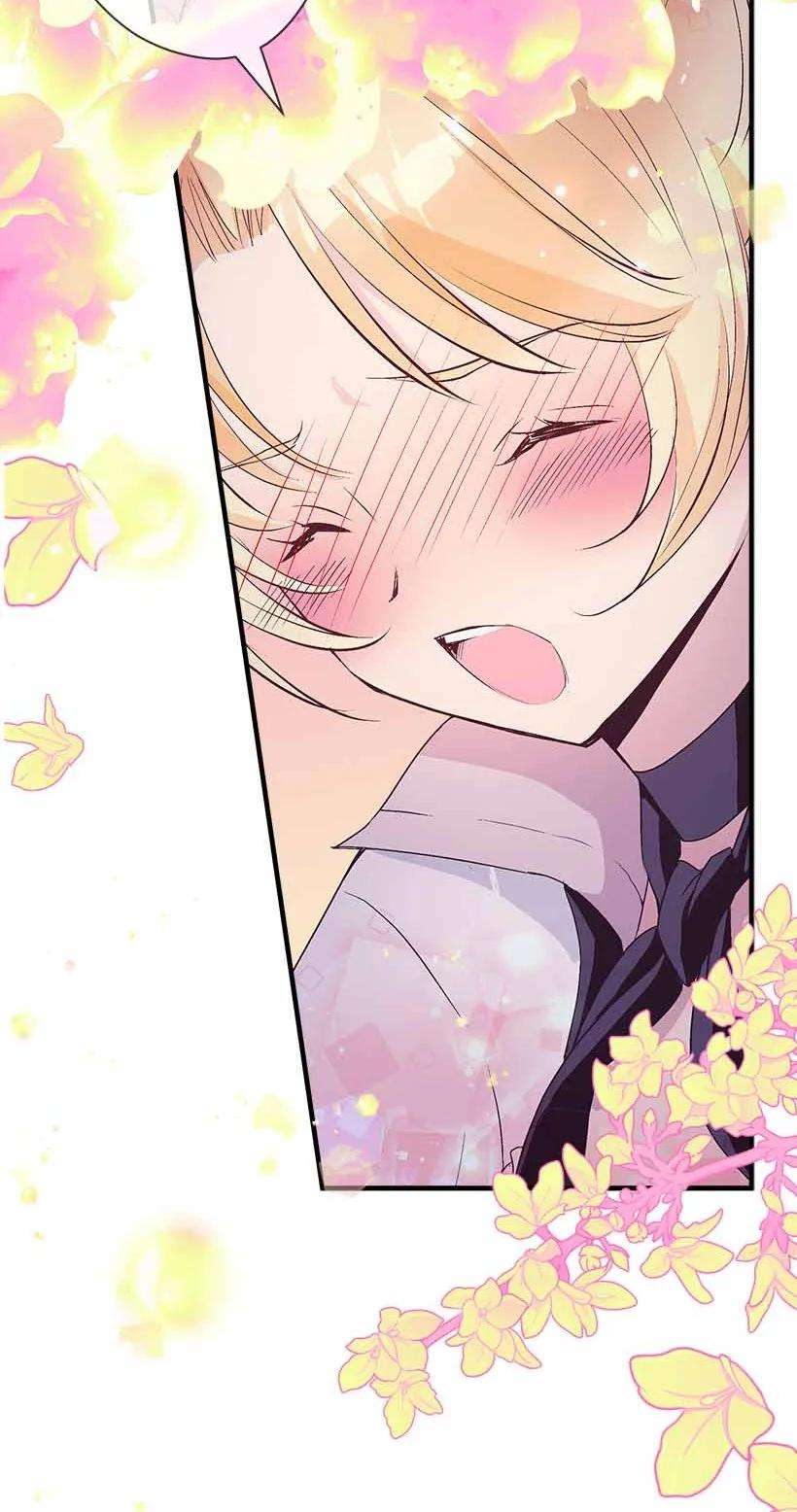 失落的公主73 别有洞天