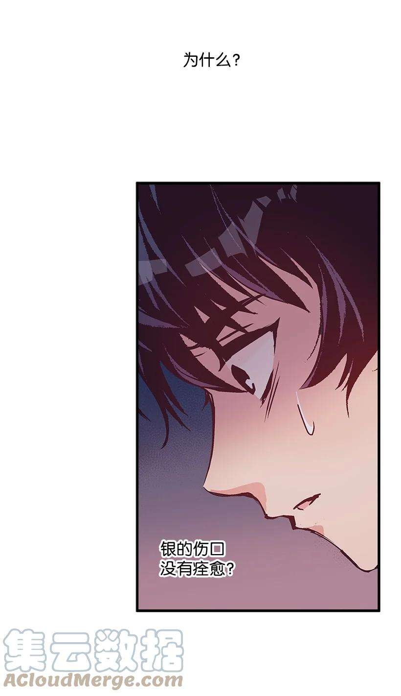 失落的公主78 配得上维卡的人