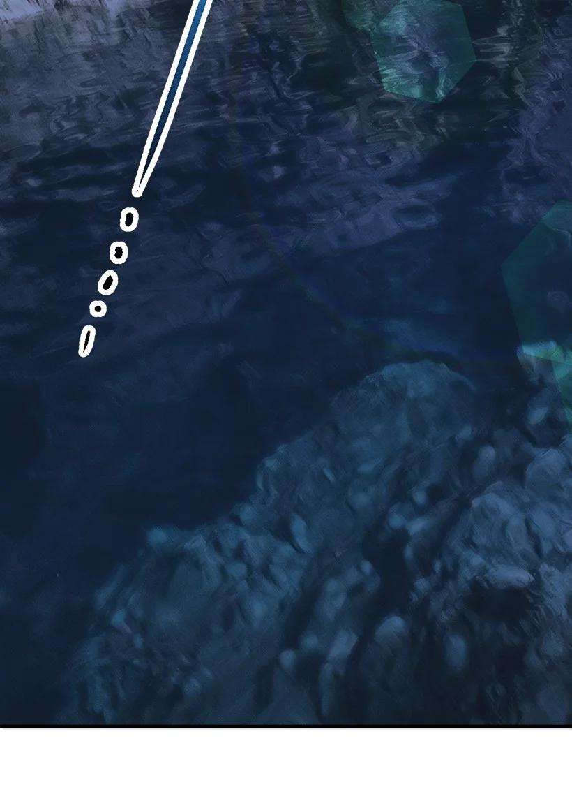 失落的公主88 黑斑再现