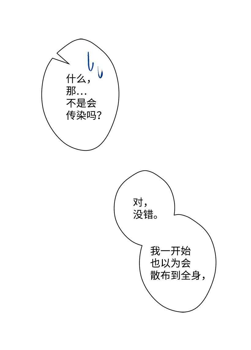 失落的公主88 黑斑再现
