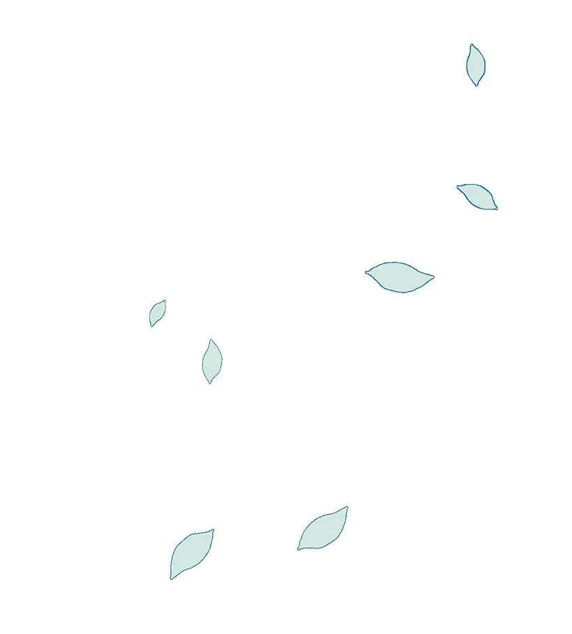 失落的公主95 为了家人