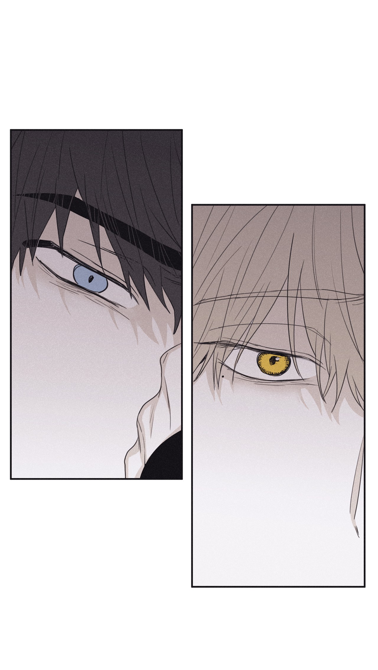 将杀41 不做就出去