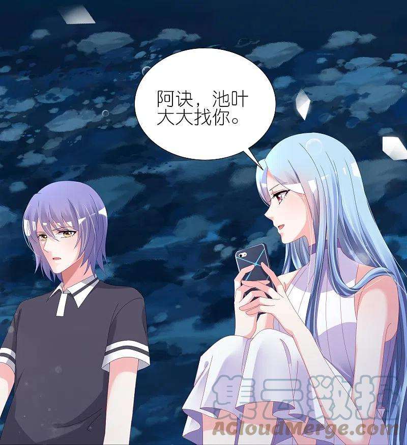 我被总裁黑上了！429话
