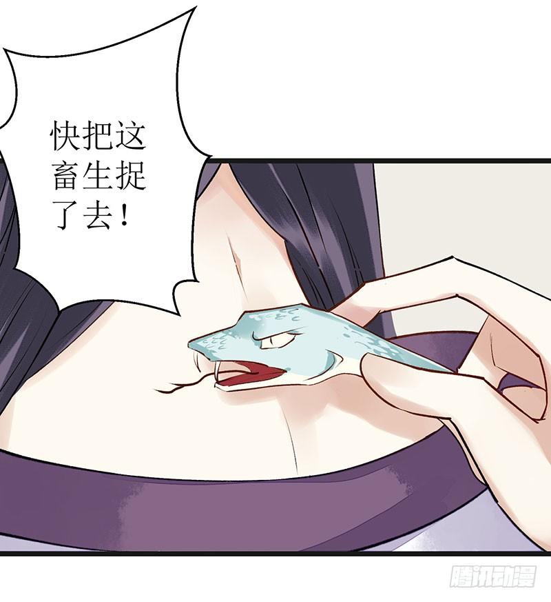 一品嫡女7话 玩玩毒蛇