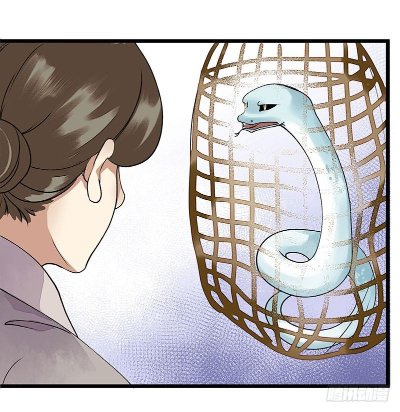 一品嫡女11话 斋堂思过