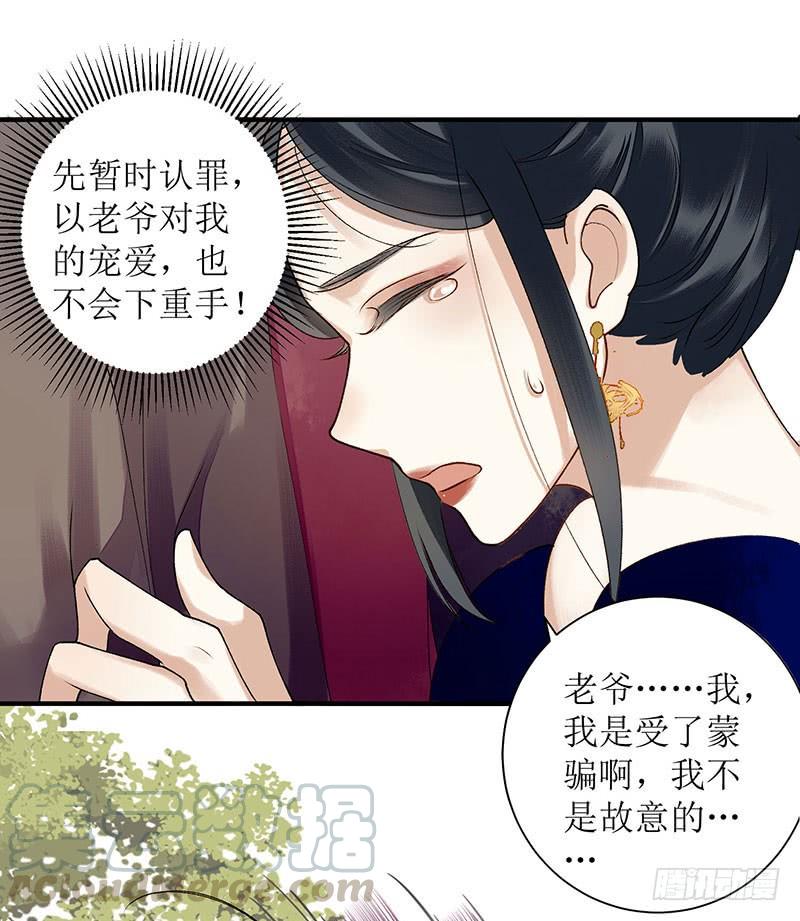 一品嫡女19话 杖责二十