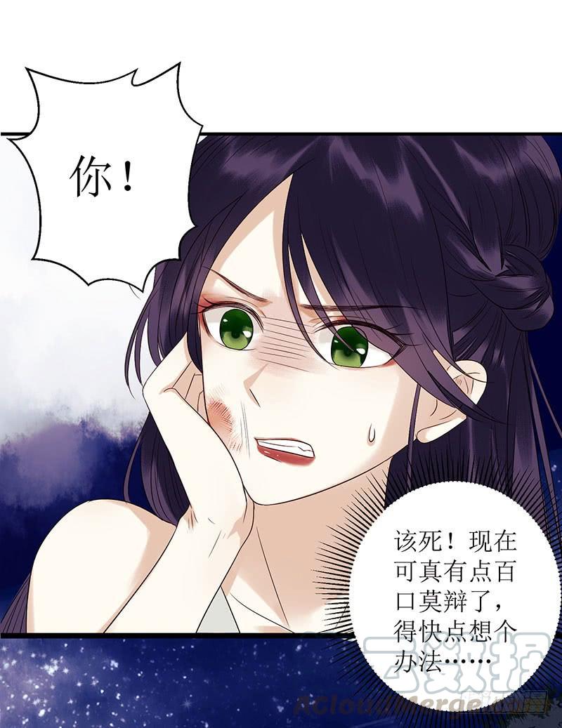 一品嫡女30话 只是开始
