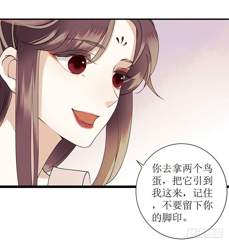 一品嫡女36话 布局反击