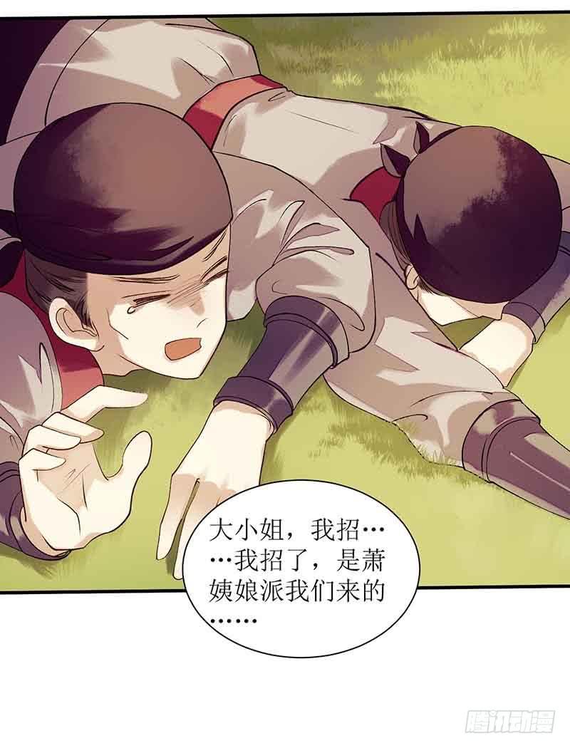 一品嫡女40话 抓刺客