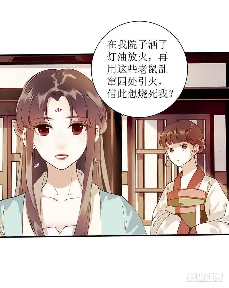 一品嫡女40话 抓刺客