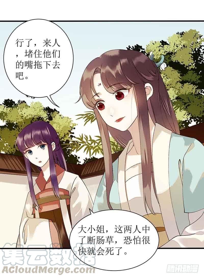 一品嫡女40话 抓刺客