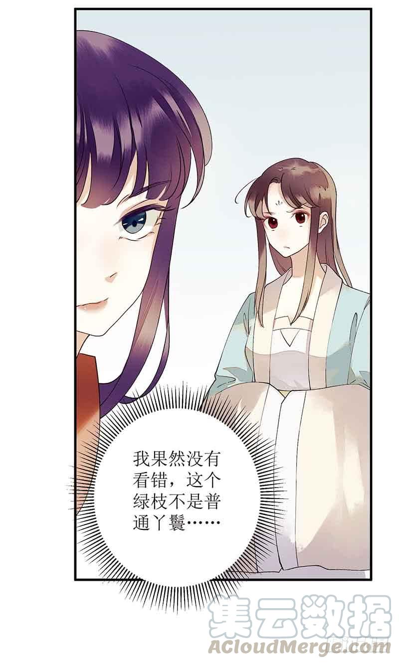 一品嫡女40话 抓刺客