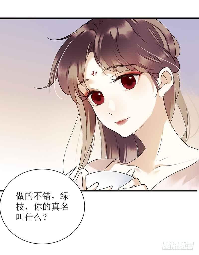 一品嫡女43话 绿枝的身份