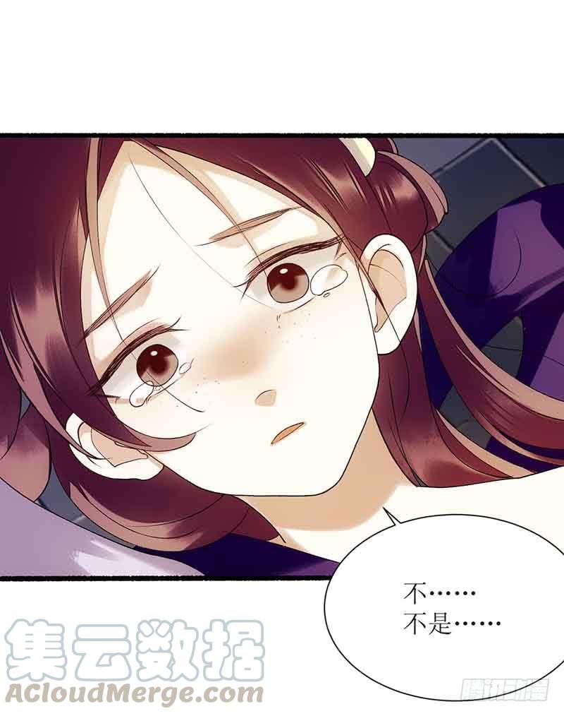 一品嫡女43话 绿枝的身份