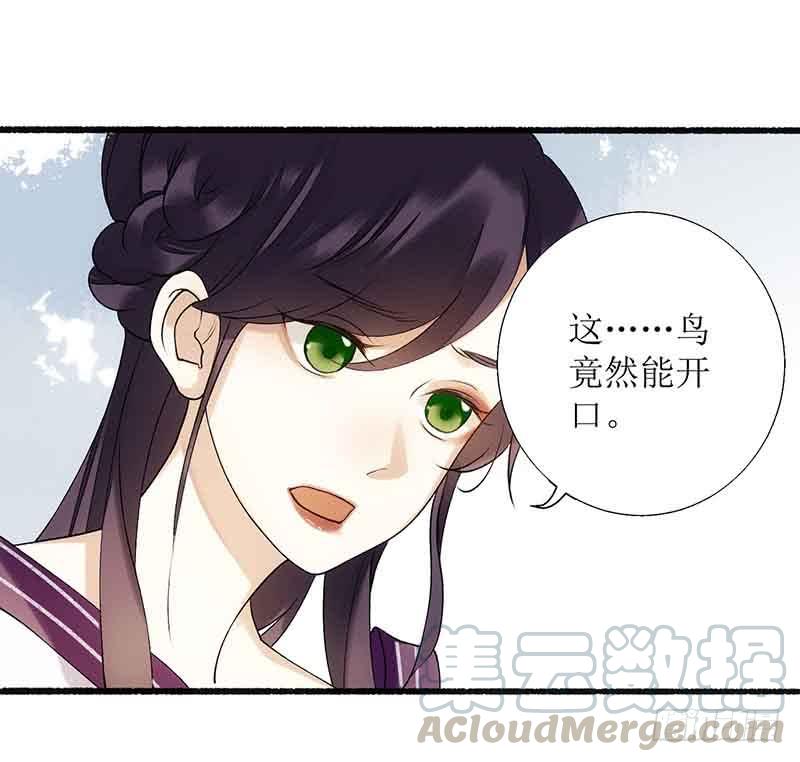 一品嫡女44话 赏菊宴
