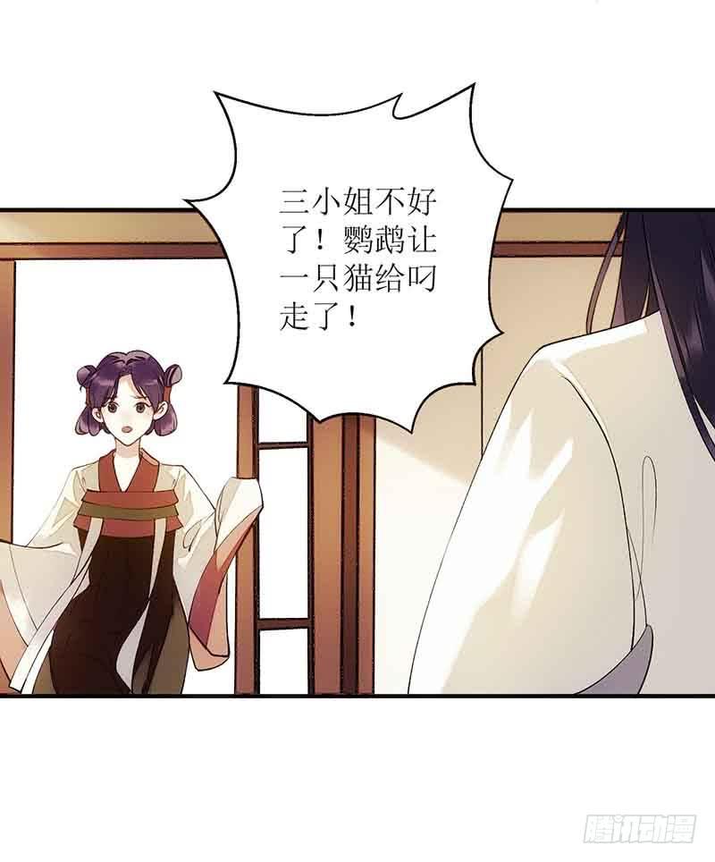 一品嫡女45话 鹦鹉丢了