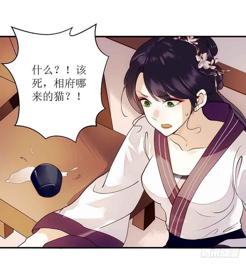 一品嫡女45话 鹦鹉丢了
