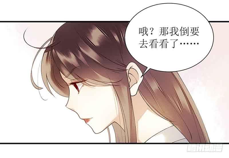 一品嫡女45话 鹦鹉丢了