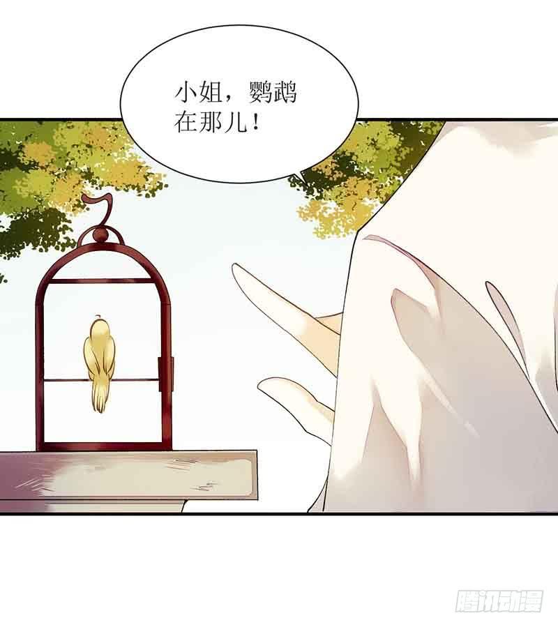一品嫡女45话 鹦鹉丢了