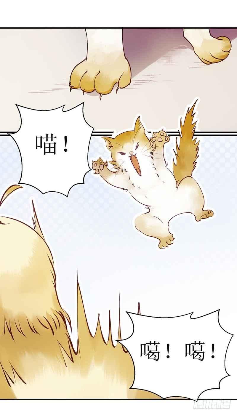 一品嫡女45话 鹦鹉丢了