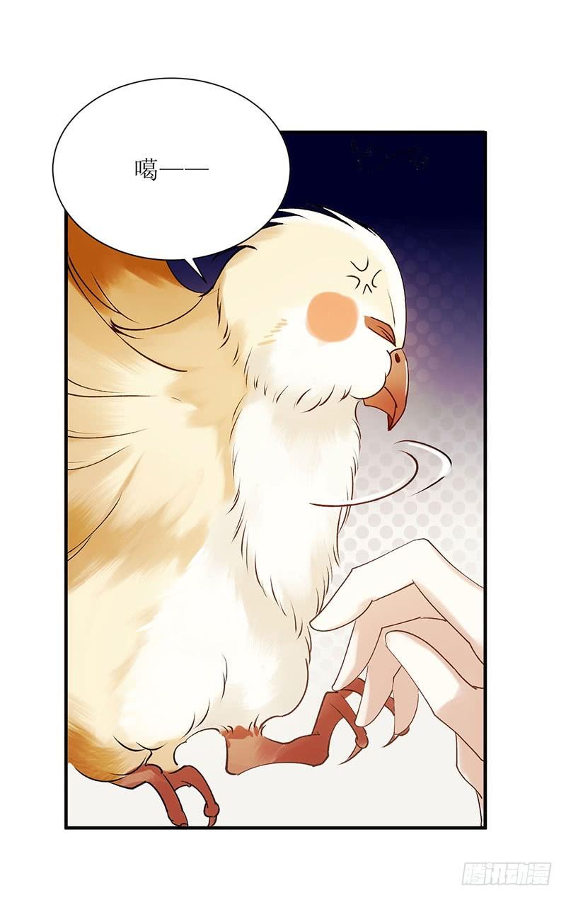 一品嫡女50话 激怒