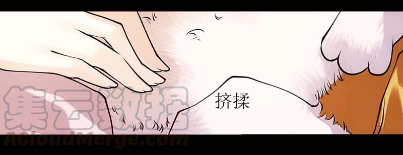 一品嫡女60话 将计就计