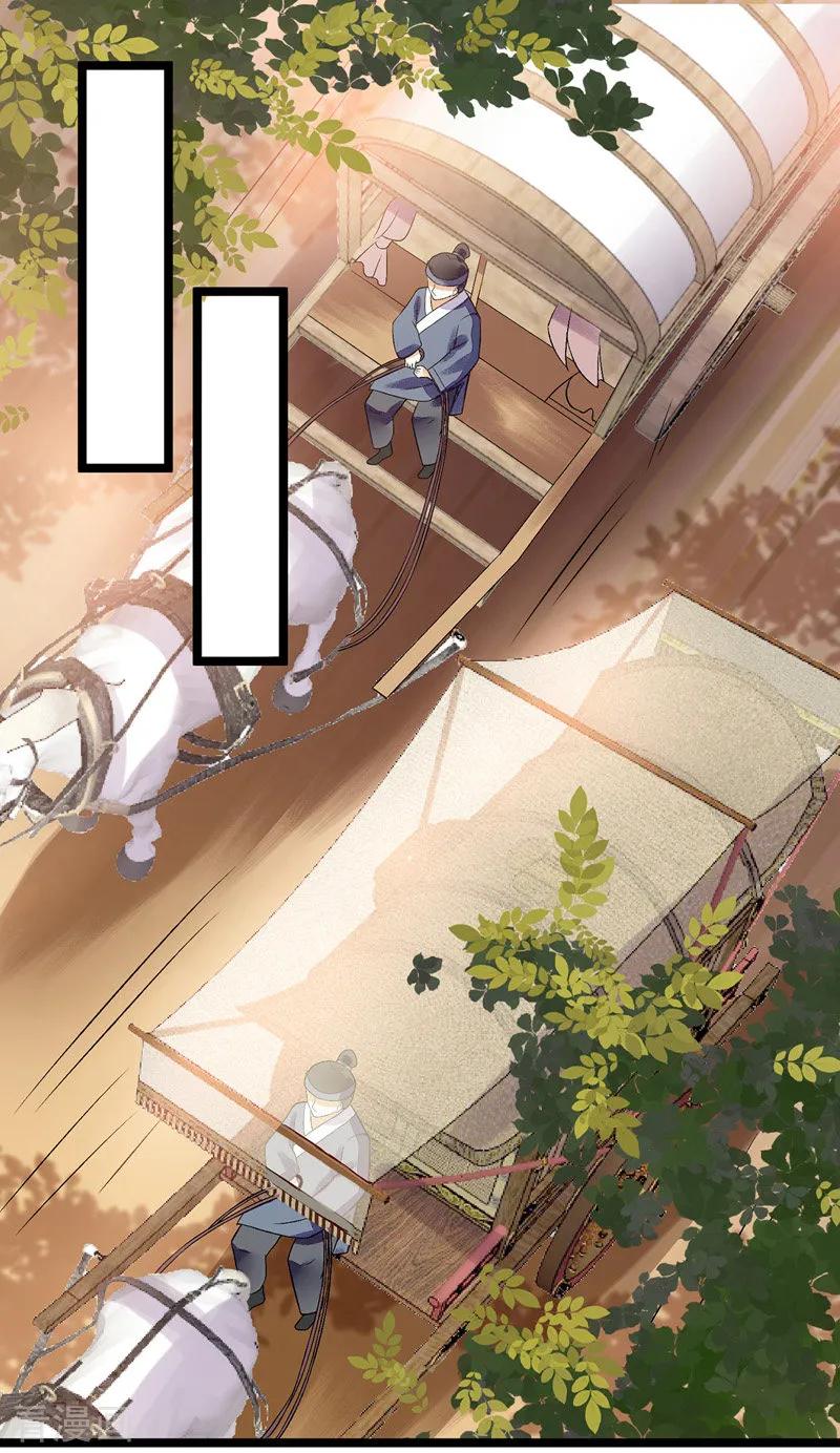 一品嫡女115话 聪明反被聪明误