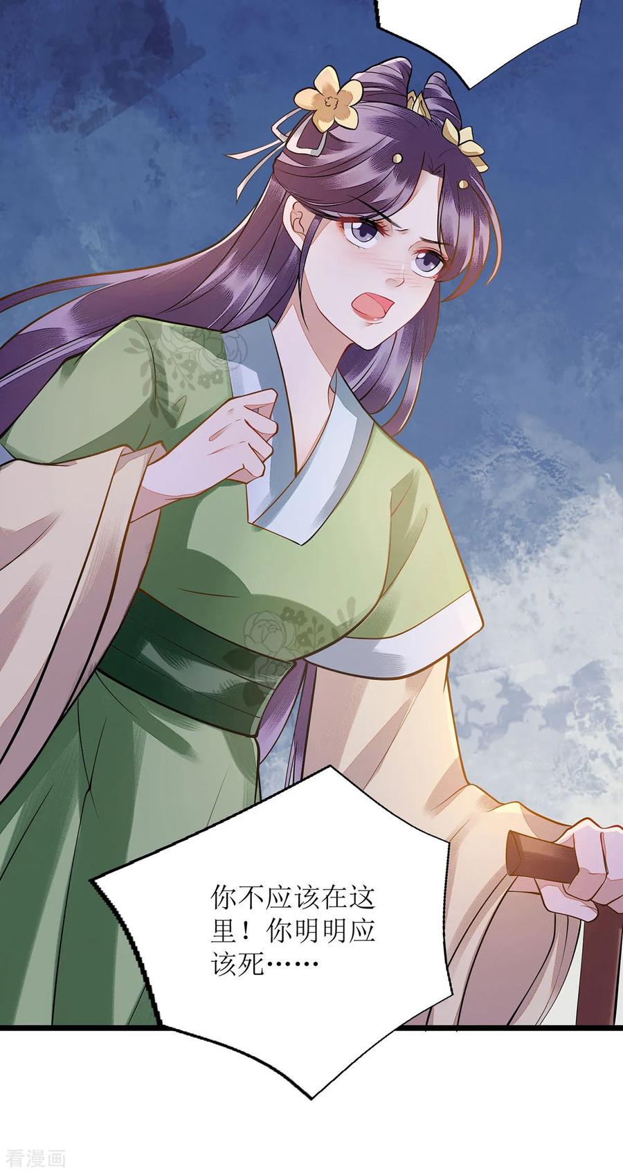 一品嫡女117话 萧府贺宴