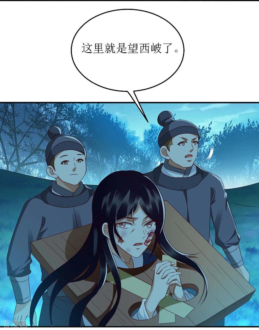 一品嫡女176话 准备伏击