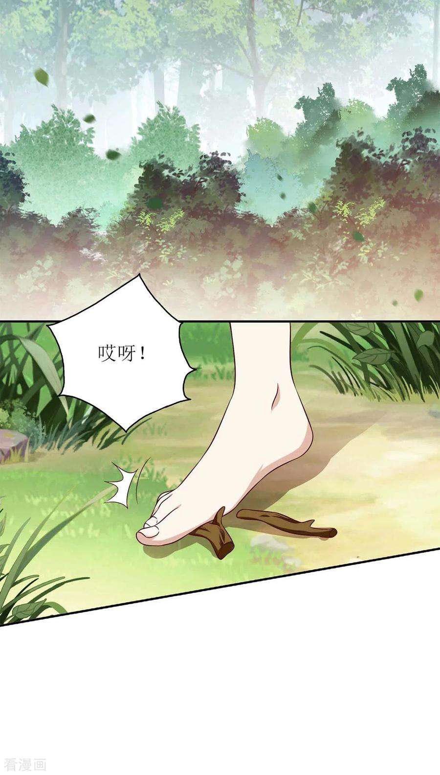 一品嫡女206话 情话