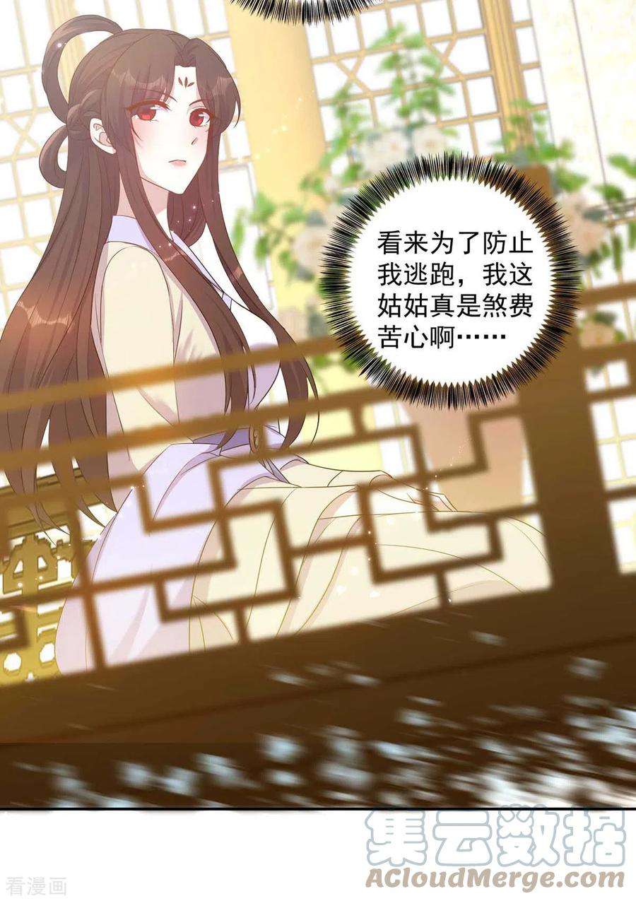 一品嫡女223话 按计划进行