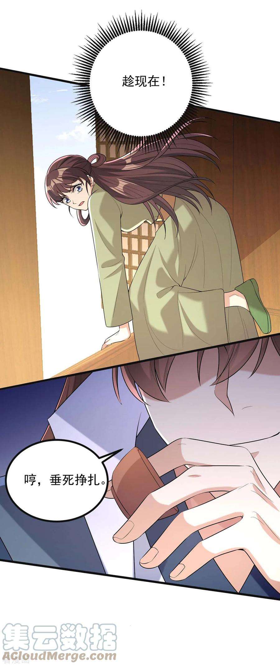一品嫡女243话 慧芝之危