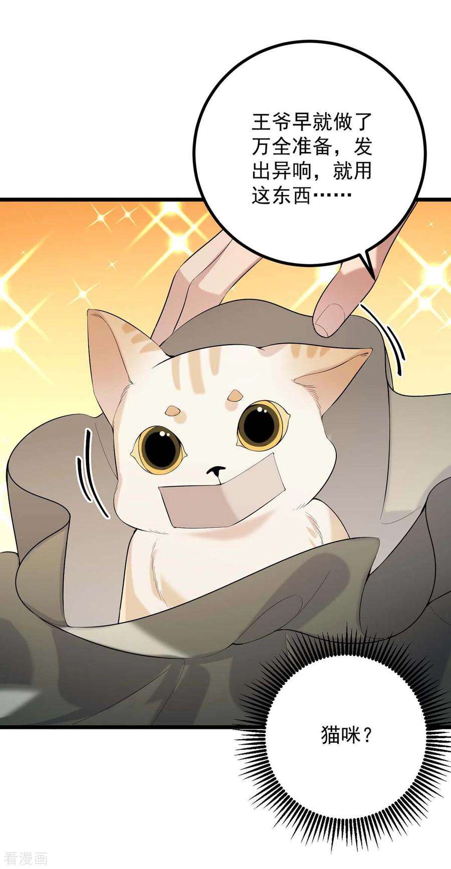 一品嫡女248话 早有准备