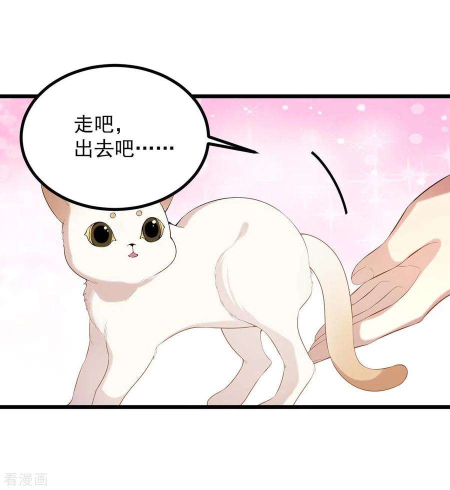 一品嫡女248话 早有准备