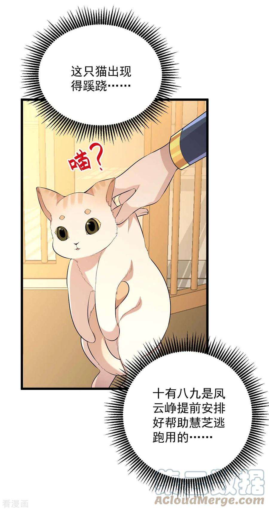 一品嫡女249话 算无遗策