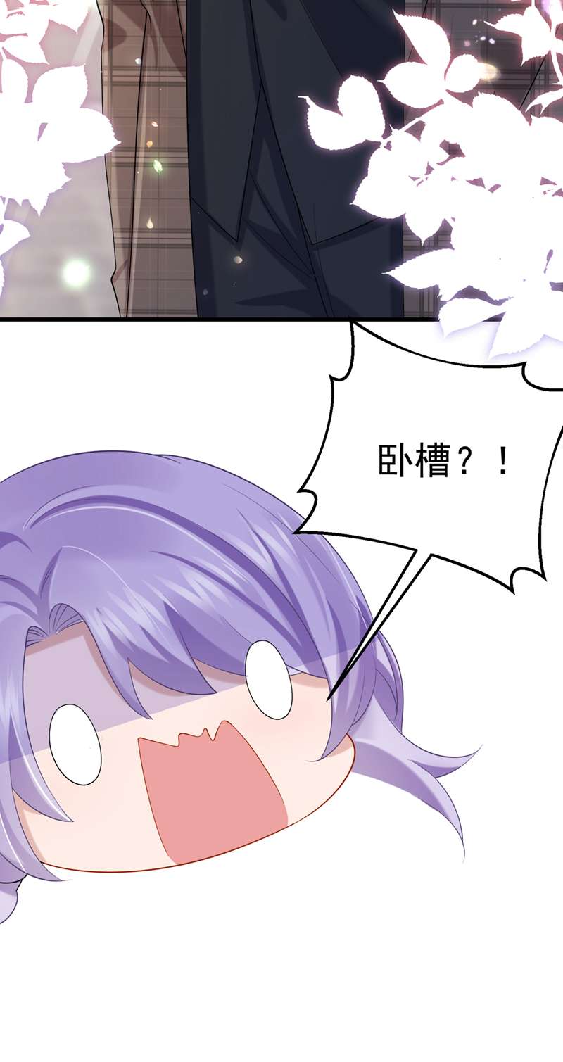 我的萌宝是僚机第49话 五亿的项目，了解下