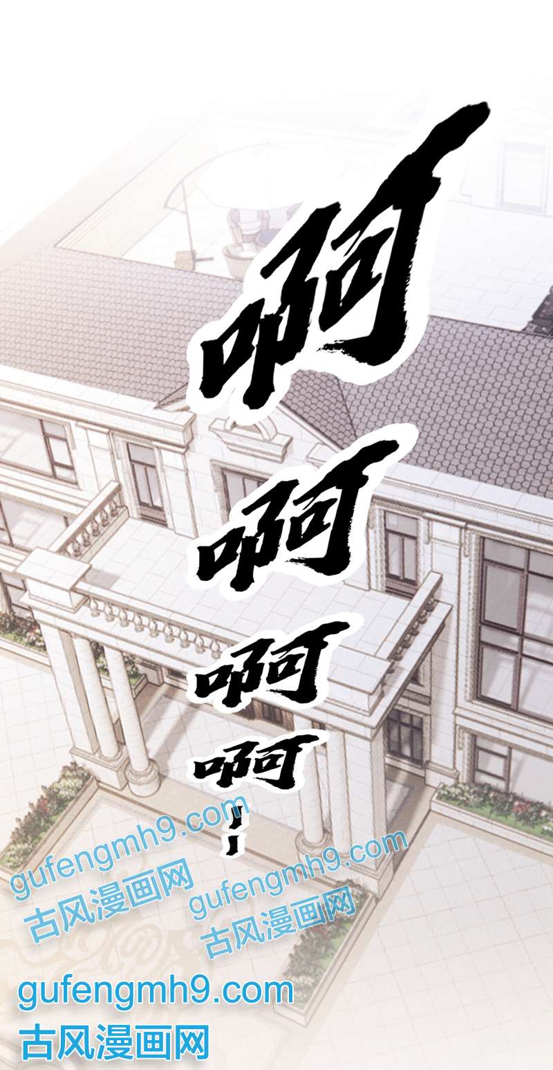我的萌宝是僚机第62话 你是不是疯了！
