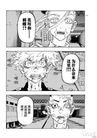 东京复仇者254话