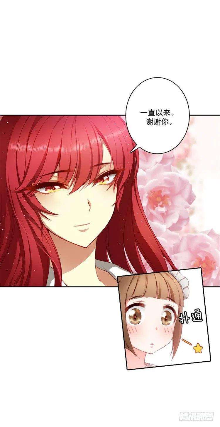 阿多尼斯17.忠诚的仆人