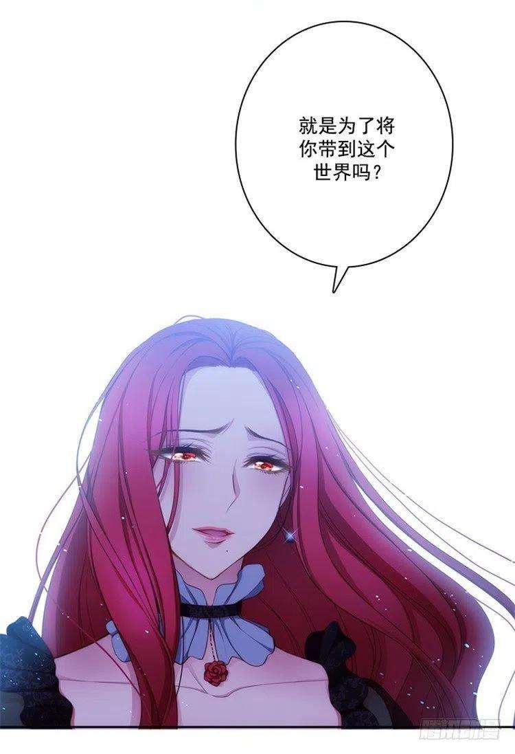 阿多尼斯22.来到未来世界的理由