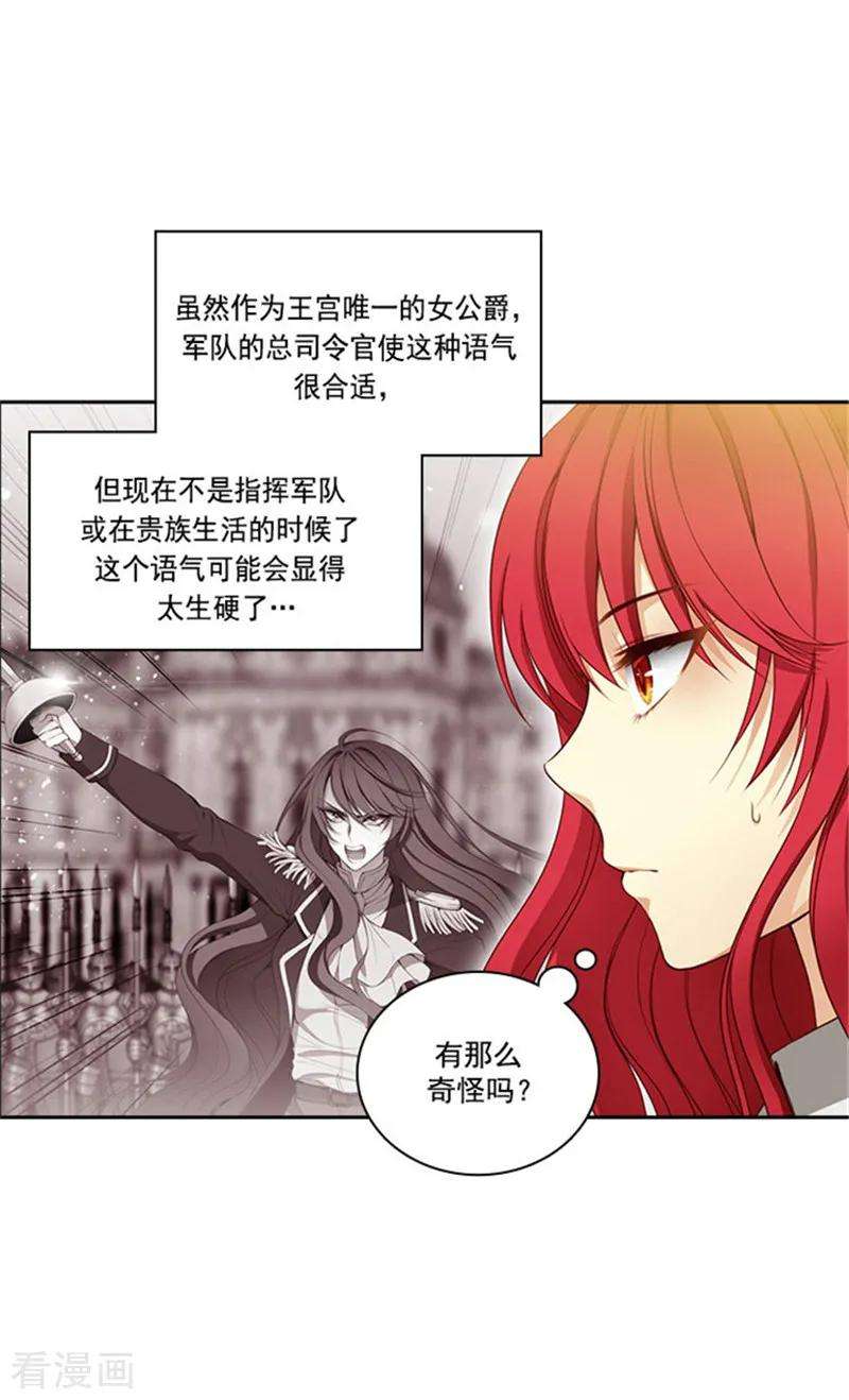 阿多尼斯31.考试心得