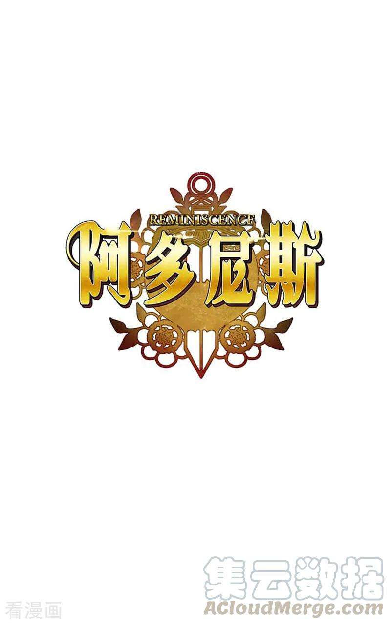 阿多尼斯63.可靠的背影