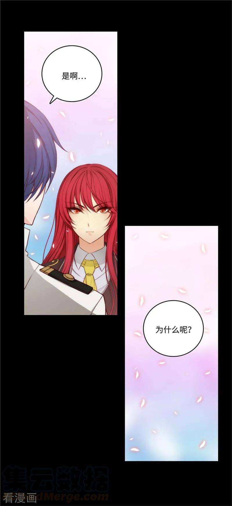 阿多尼斯87.意外的花束