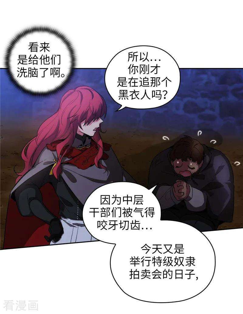阿多尼斯150.特级奴隶拍卖会