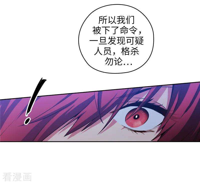 阿多尼斯150.特级奴隶拍卖会