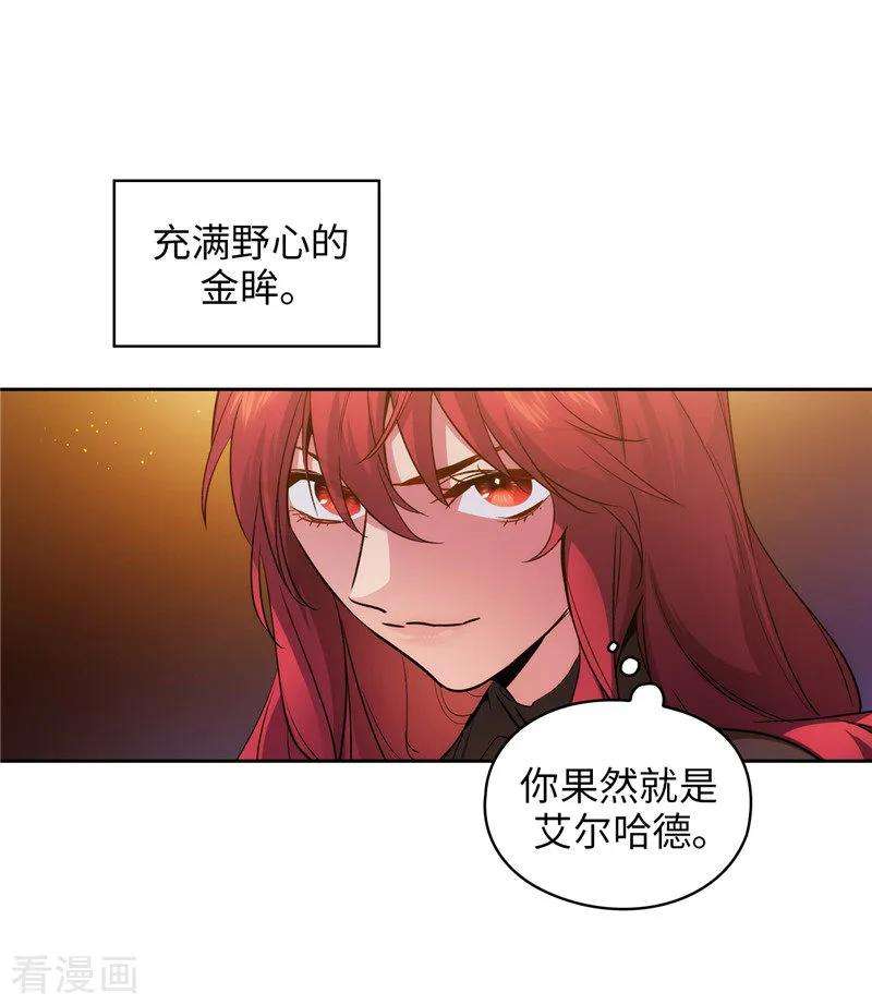 阿多尼斯156.拍卖会场大混乱