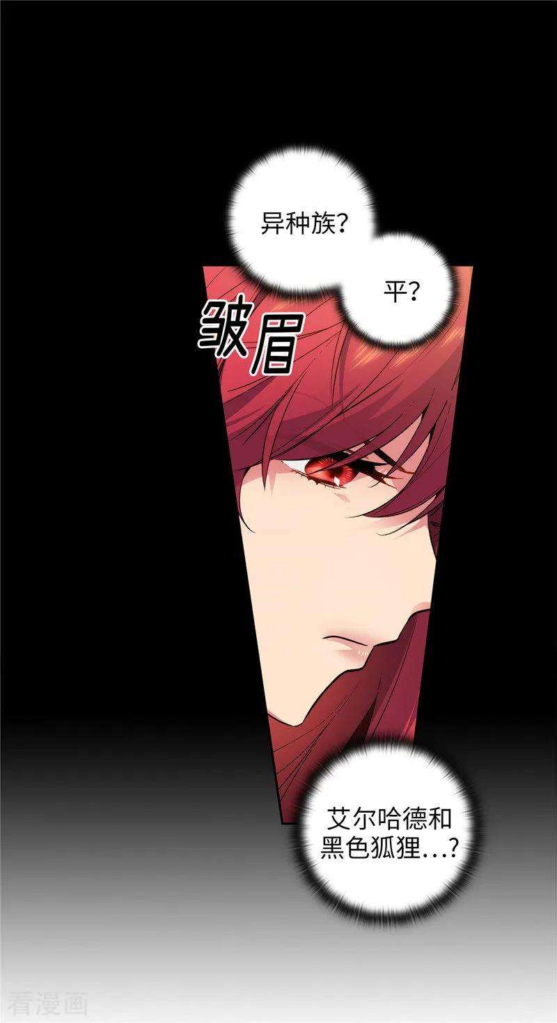 阿多尼斯158.计划中的变数