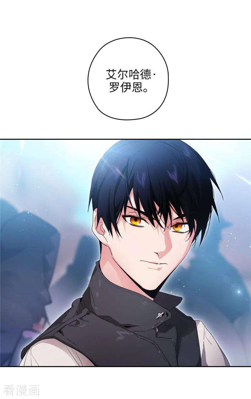 阿多尼斯176.毕生的心愿