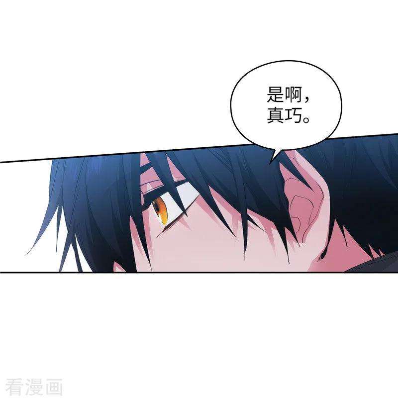 阿多尼斯177.很中意你